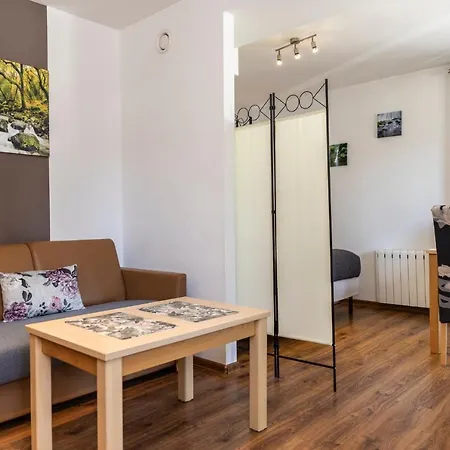 udanypobyt Apartamenty Przy Dolinach E i F Kościelisko Zewnętrze zdjęcie