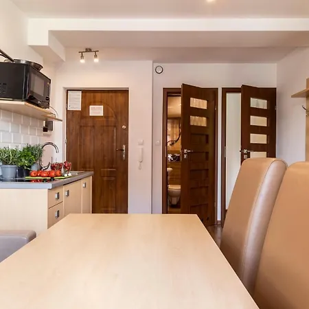 udanypobyt Apartamenty Przy Dolinach E i F Kościelisko Zewnętrze zdjęcie