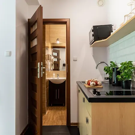 udanypobyt Apartamenty Przy Dolinach E i F Kościelisko Zewnętrze zdjęcie