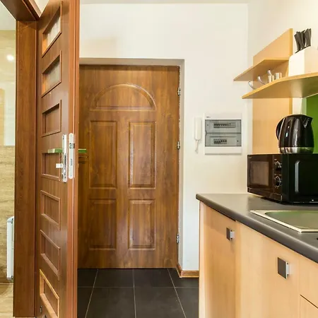 udanypobyt Apartamenty Przy Dolinach E i F Kościelisko Zewnętrze zdjęcie