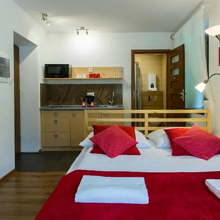 udanypobyt Apartamenty Przy Dolinach E i F Kościelisko Zewnętrze zdjęcie