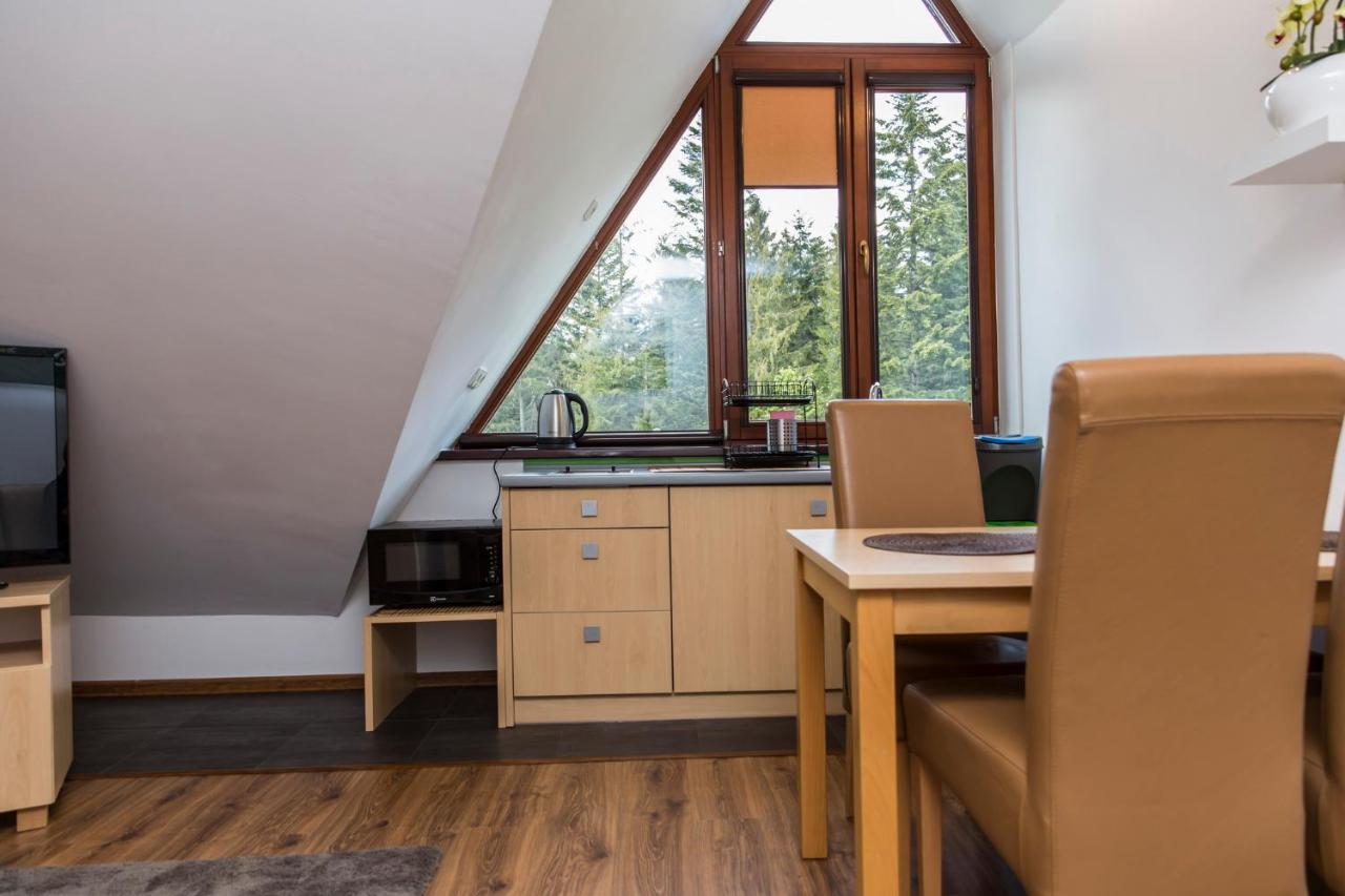Apartment Udanypobyt Przy Dolinach E I F *